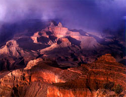 "Majestic" - unique photographic art by Duane and Elaine Morgam