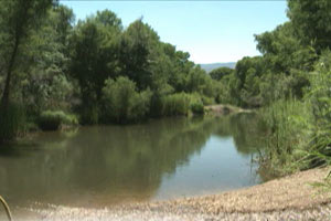 Verde River Greenway