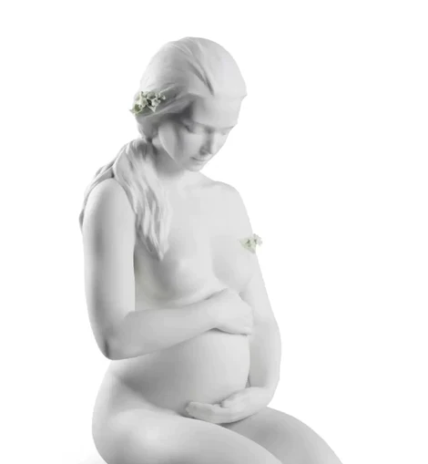 A New Life by Lladro